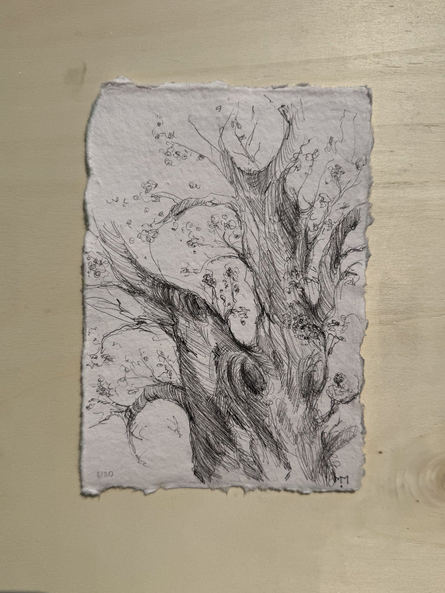 6/30 - Tree Sketch (14,8 x 21,0 cm Original)