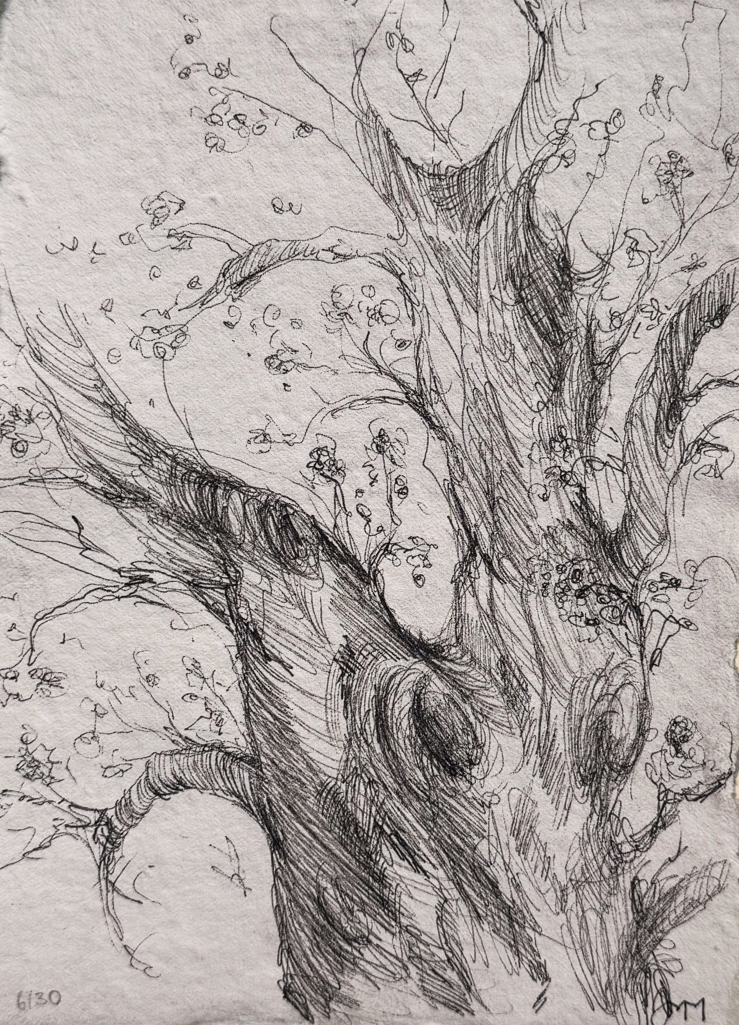 6/30 - Tree Sketch (14,8 x 21,0 cm Original)