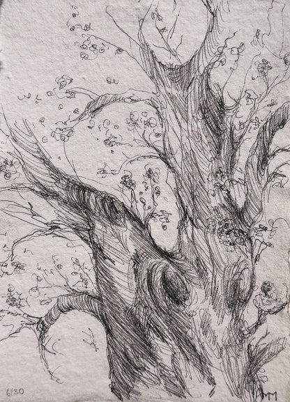 6/30 - Tree Sketch (14,8 x 21,0 cm Original)