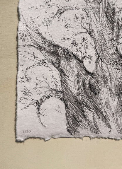 6/30 - Tree Sketch (14,8 x 21,0 cm Original)