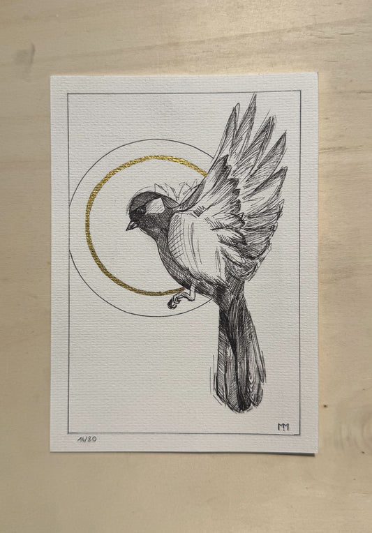 16/30 - Bird Sketch (14,8 x 21,0 cm Original)
