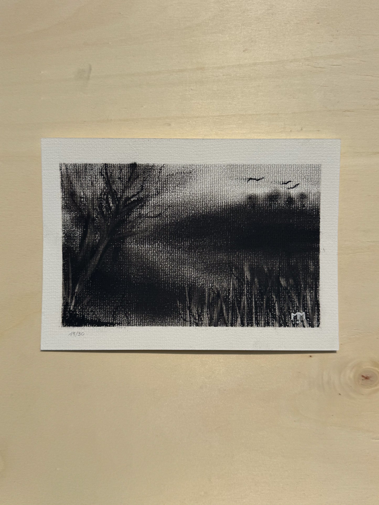 19/30 - Charcoal Landscape (14,8 x 21,0 cm Original)