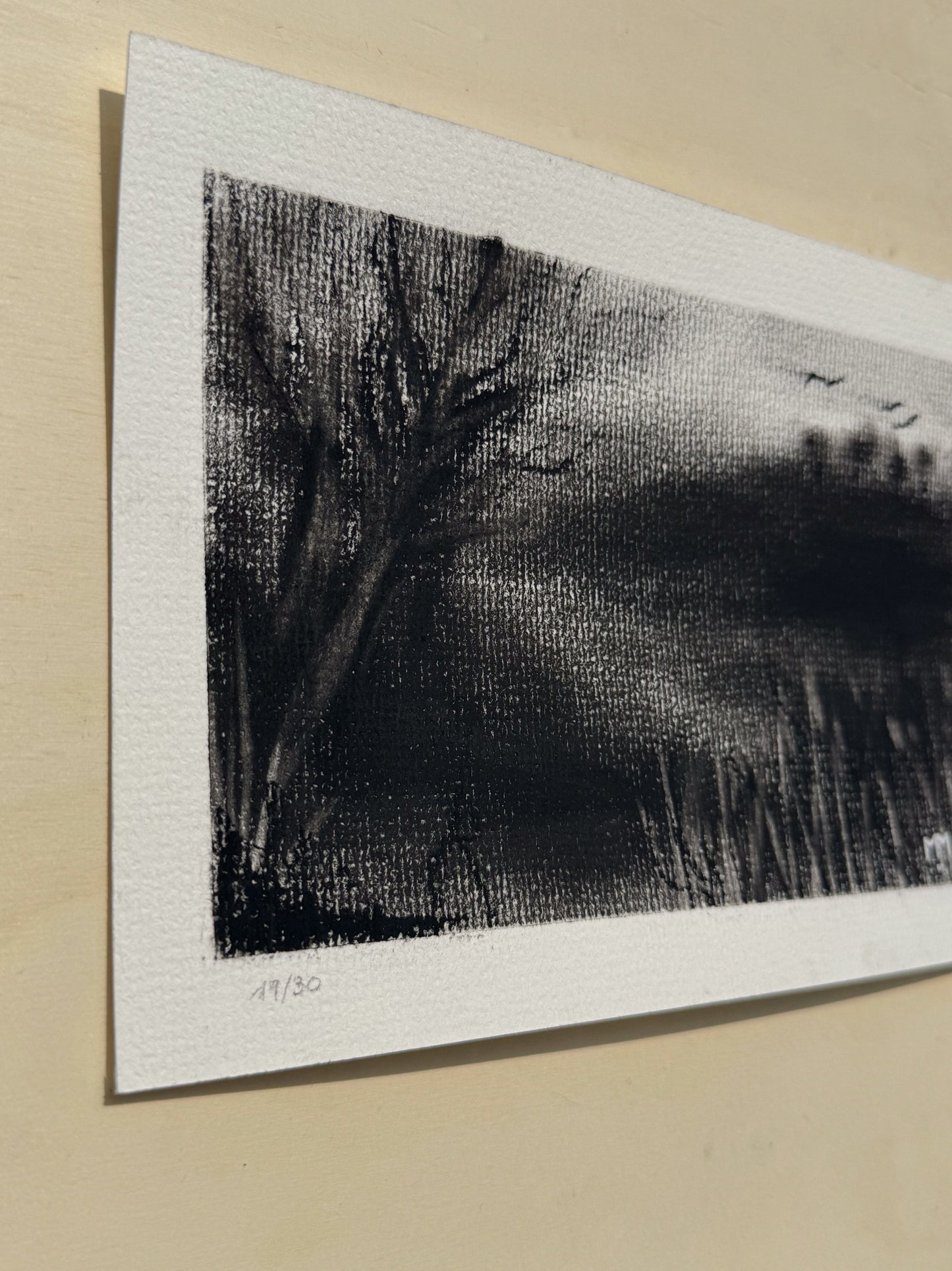 19/30 - Charcoal Landscape (14,8 x 21,0 cm Original)