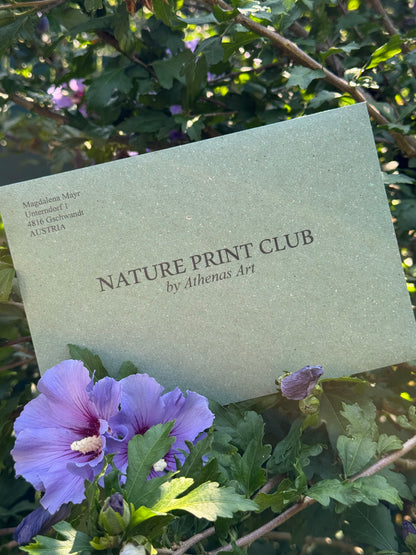 Catch Up – July Print